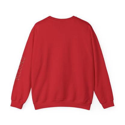 NewEden V1 pullover